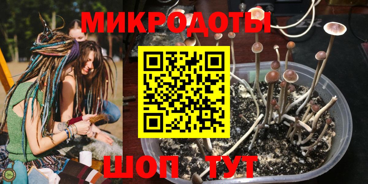 Галлюциногенные грибы Magic Shrooms Балтийск
