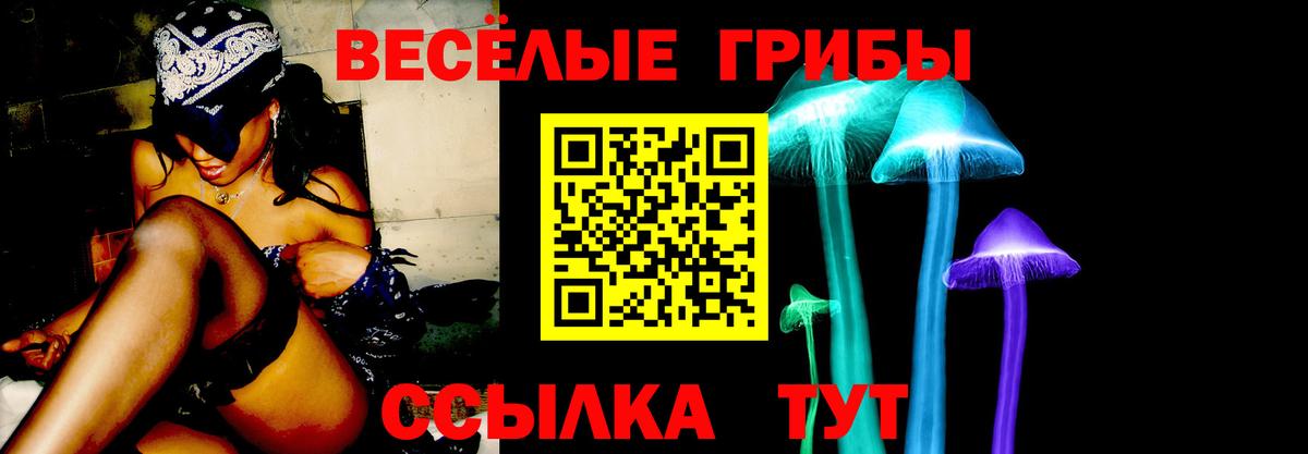 Балтийск  Псилоцибиновые грибы мицелий  где купить наркотик  Вход с VPN 