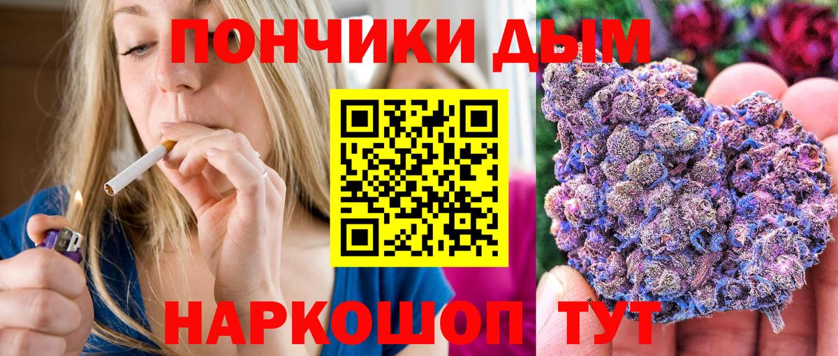 Каннабис SATIVA & INDICA Балтийск